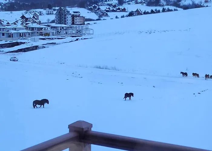 아파트 Mitic, Katalina 3 즐라티보